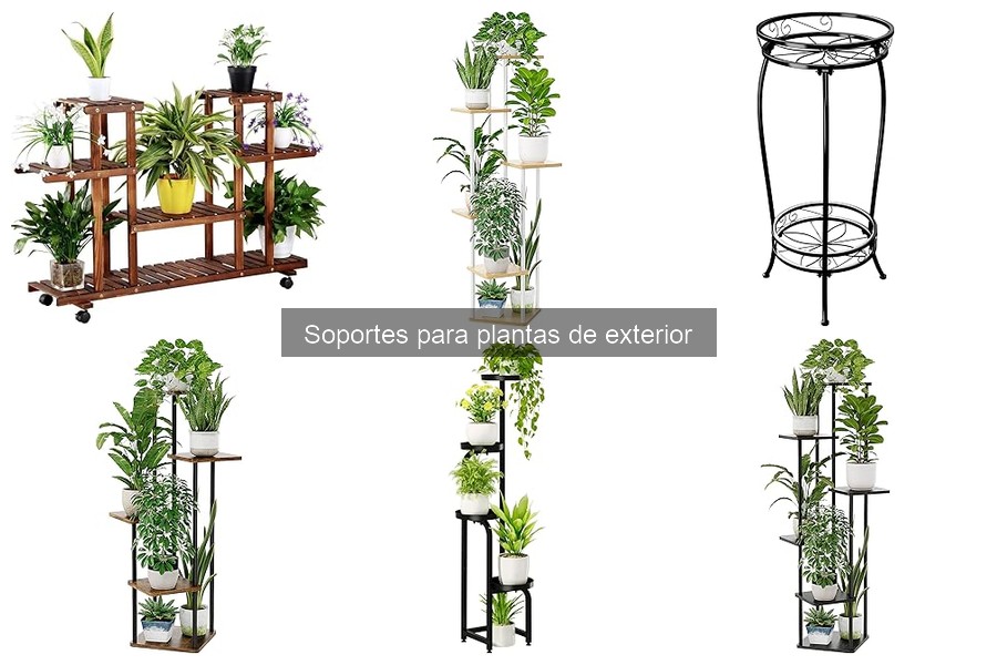 Guía de compra de soportes para plantas de exterior