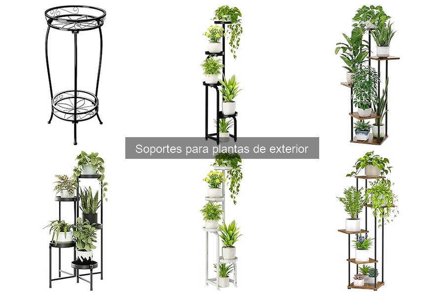 Soportes para plantas resistentes al viento: guía esencial