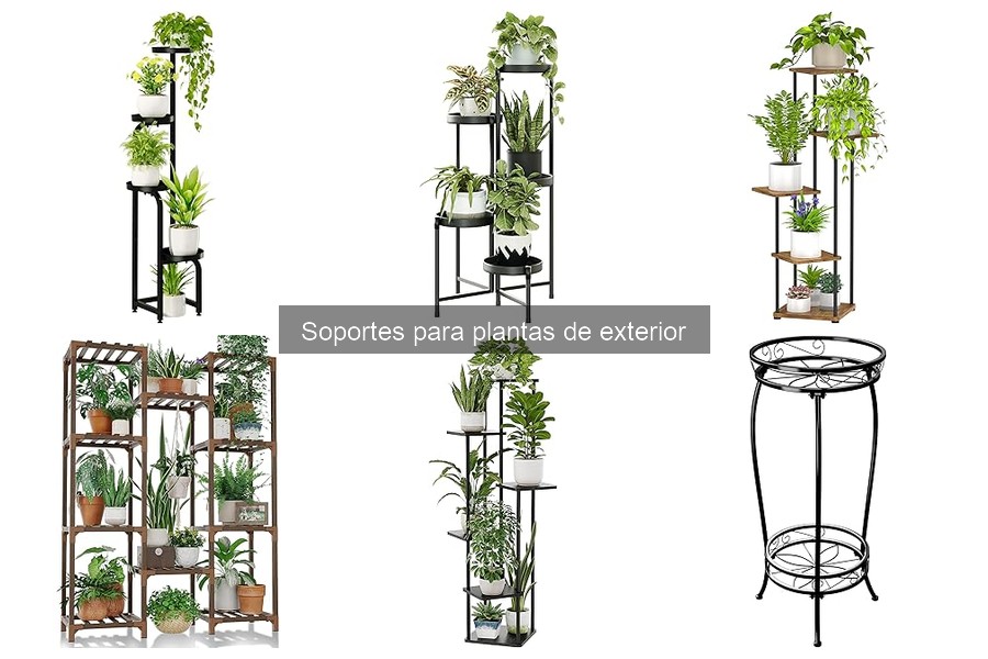 Tipos de soportes para plantas de exterior y sus aplicaciones
